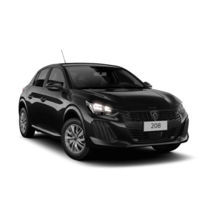 208 ACTIVE 1.0 MANUAL